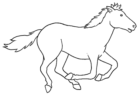 cavalo-2