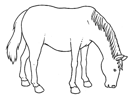 cavalo-4