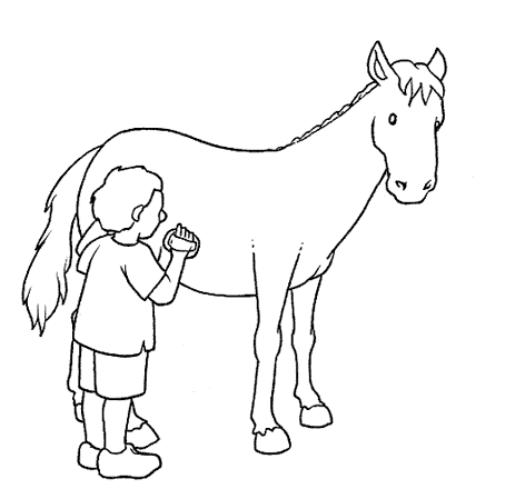 cavalo-5