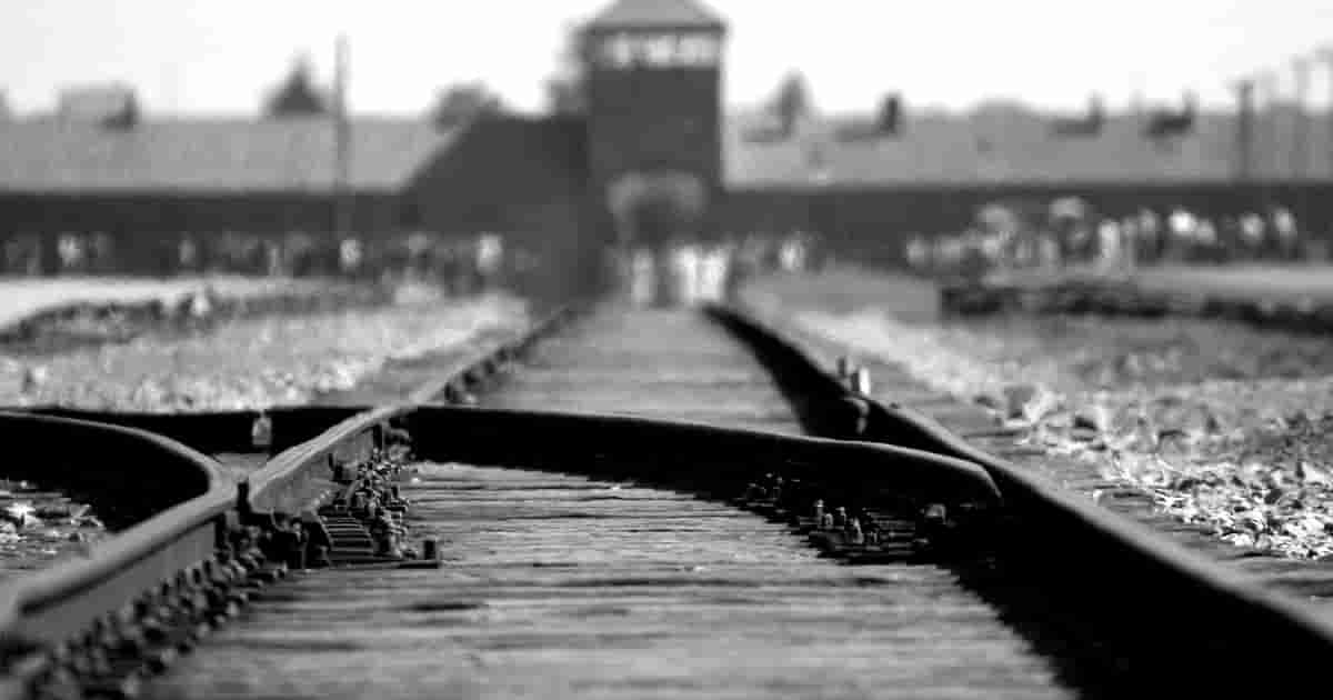 Campo de concentração (Auschwitz)