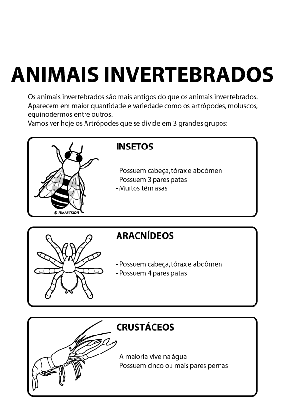 plano-de-aula-animais-vertebrados-e-invertebrados
