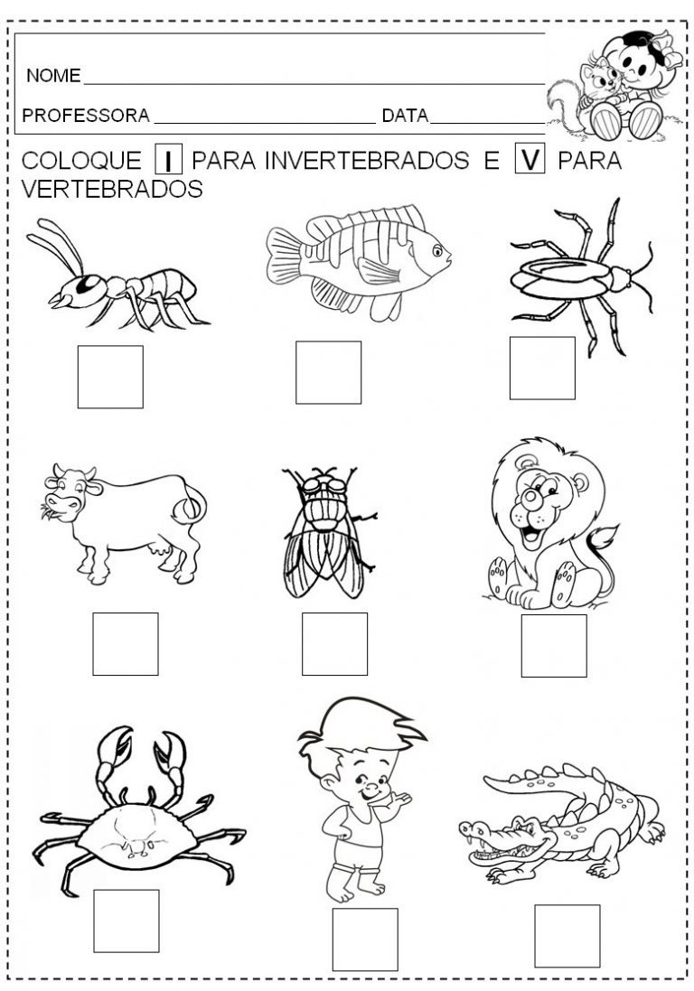 Plano de aula: Animais vertebrados e invertebrados