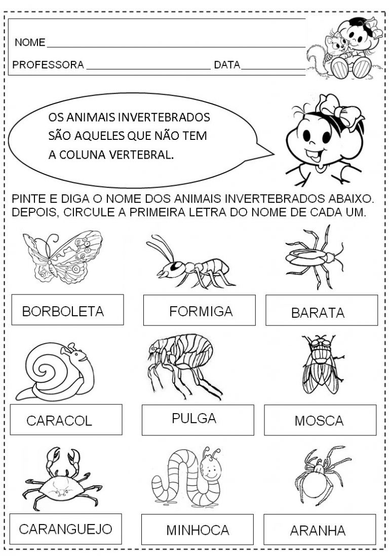 Plano de aula: Animais vertebrados e invertebrados