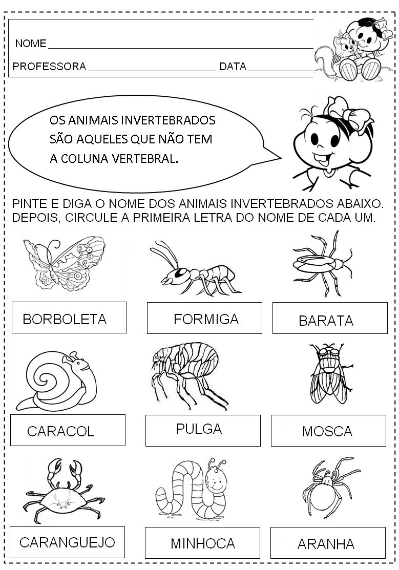 Plano De Aula Animais Vertebrados E Invertebrados