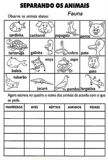 plano-de-aula-animais-vertebrados-e-invertebrados