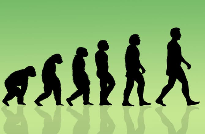 Vida e Evolução