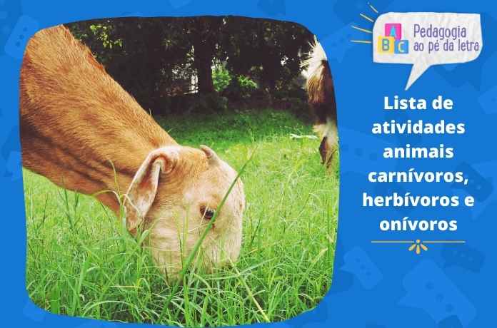 5 Tarefas sobre animais carnívoros, herbívoros e onívoros para o fundamental (2)