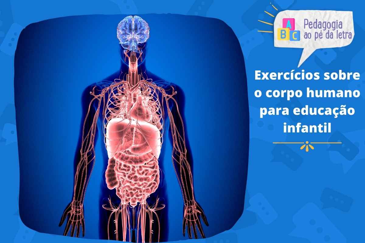 5 exercícios sobre o corpo humano para educação infantil (1)